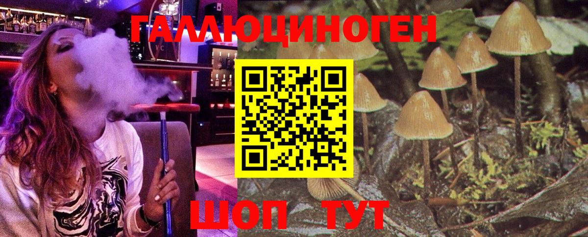 Галлюциногенные грибы прущие грибы Красный Сулин