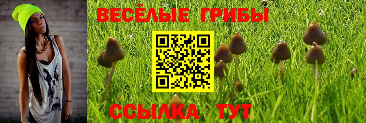 Красный Сулин  Псилоцибиновые грибы мухоморы  Псилоцибиновые грибы мицелий  Вход с VPN 